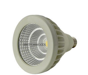 Exponent-H LED PAR Lamp