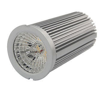 Bullfinch LED Spot Light