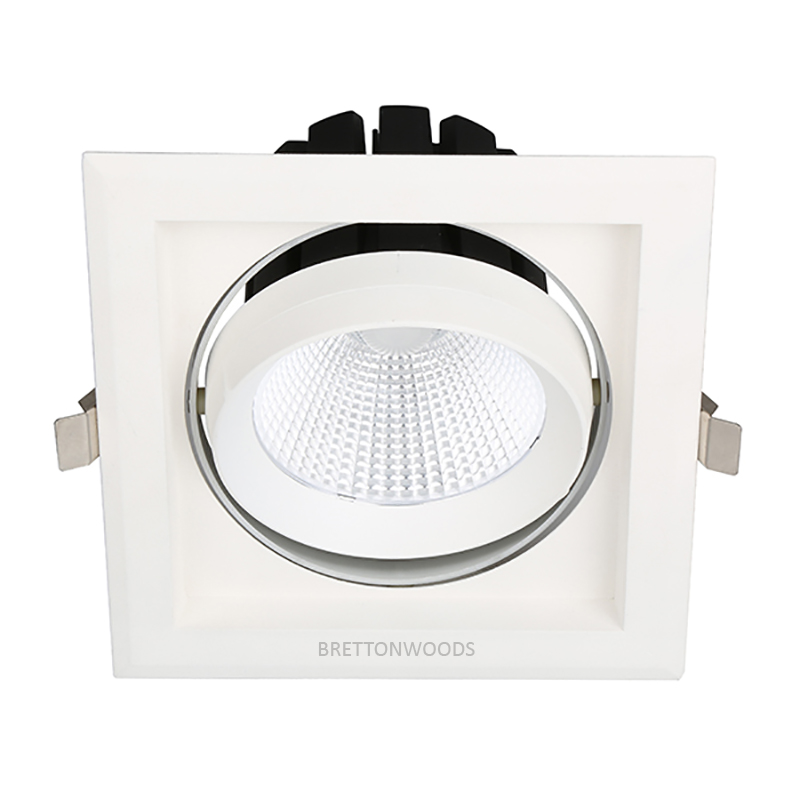  LED Downlight